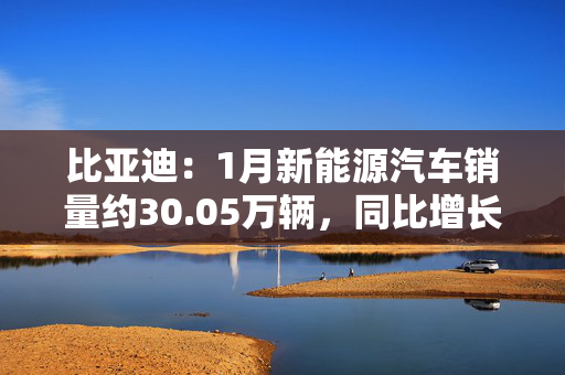 比亚迪：1月新能源汽车销量约30.05万辆，同比增长49.16%