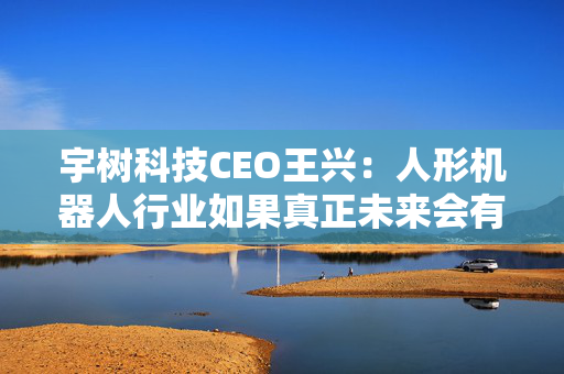 宇树科技CEO王兴：人形机器人行业如果真正未来会有卡脖子的，最可能的还是芯片领域