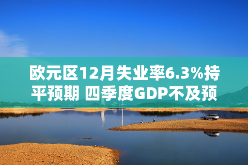 欧元区12月失业率6.3%持平预期 四季度GDP不及预期