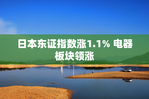 日本东证指数涨1.1% 电器板块领涨