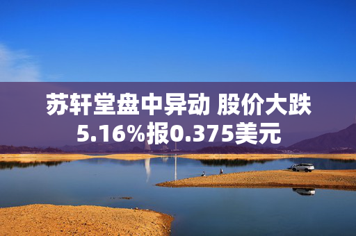 苏轩堂盘中异动 股价大跌5.16%报0.375美元