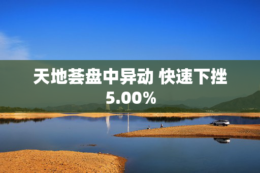 天地荟盘中异动 快速下挫5.00%