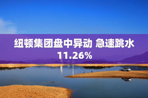 纽顿集团盘中异动 急速跳水11.26%