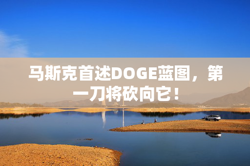 马斯克首述DOGE蓝图，第一刀将砍向它！