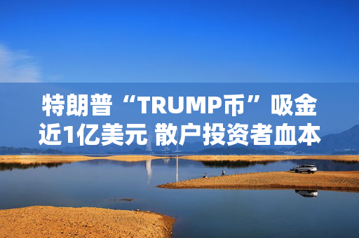 特朗普“TRUMP币”吸金近1亿美元 散户投资者血本无归