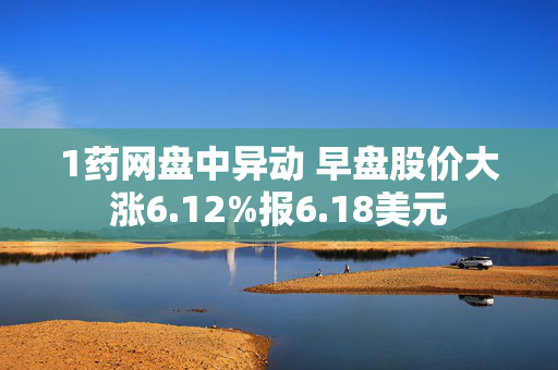 1药网盘中异动 早盘股价大涨6.12%报6.18美元