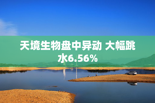 天境生物盘中异动 大幅跳水6.56%