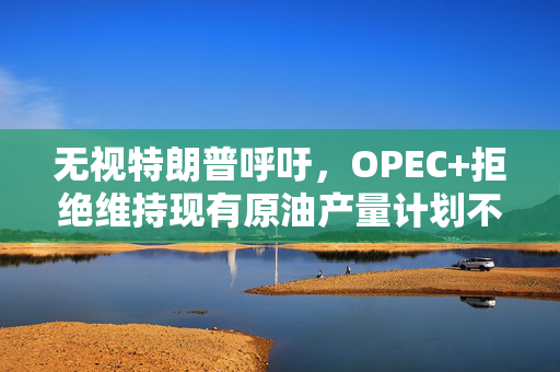 无视特朗普呼吁，OPEC+拒绝维持现有原油产量计划不变