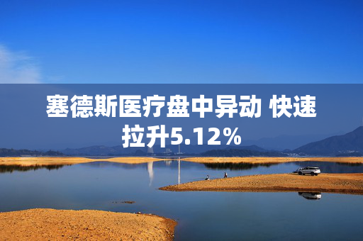 塞德斯医疗盘中异动 快速拉升5.12%