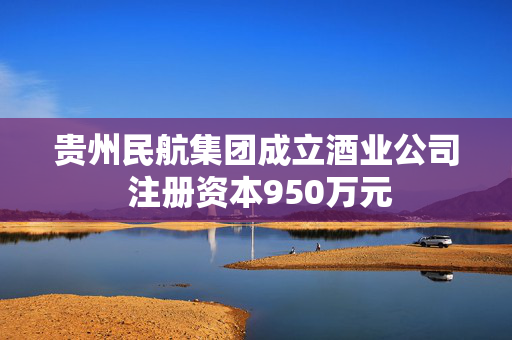 贵州民航集团成立酒业公司 注册资本950万元