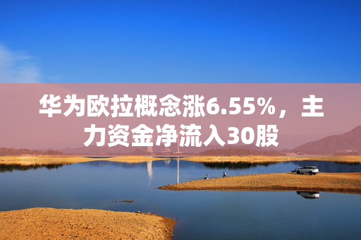 华为欧拉概念涨6.55%，主力资金净流入30股