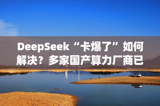 DeepSeek“卡爆了”如何解决？多家国产算力厂商已适配，主要面向推理