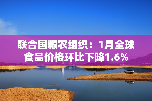 联合国粮农组织：1月全球食品价格环比下降1.6%