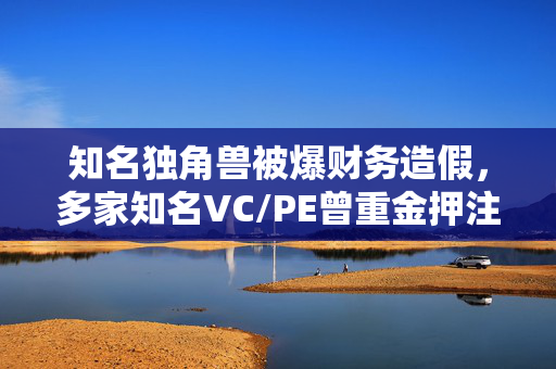 知名独角兽被爆财务造假，多家知名VC/PE曾重金押注