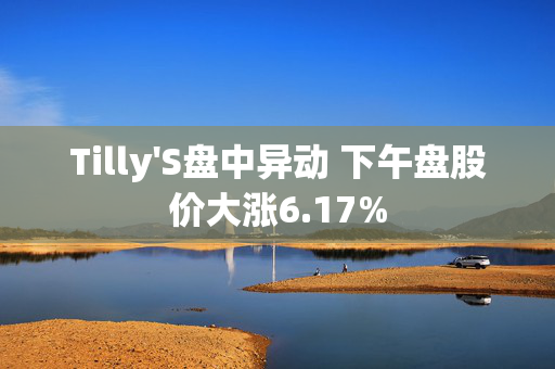 Tilly'S盘中异动 下午盘股价大涨6.17%