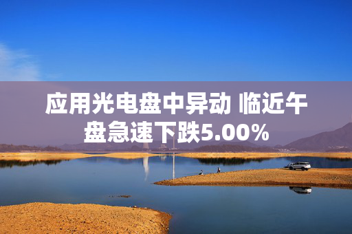 应用光电盘中异动 临近午盘急速下跌5.00%