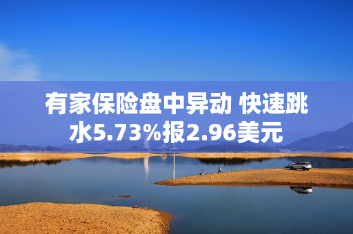 有家保险盘中异动 快速跳水5.73%报2.96美元