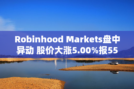 Robinhood Markets盘中异动 股价大涨5.00%报55.83美元