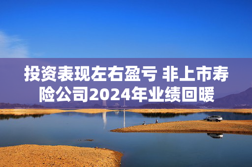 投资表现左右盈亏 非上市寿险公司2024年业绩回暖