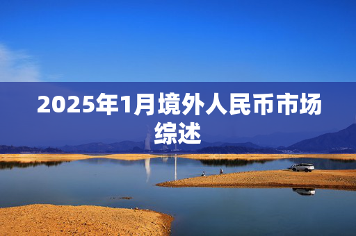 2025年1月境外人民币市场综述