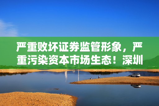 严重败坏证券监管形象，严重污染资本市场生态！深圳证监局原党委书记、局长陈小澎被开除党籍