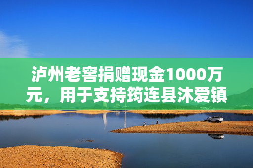 泸州老窖捐赠现金1000万元，用于支持筠连县沐爱镇金坪村山体滑坡抢险救灾工作