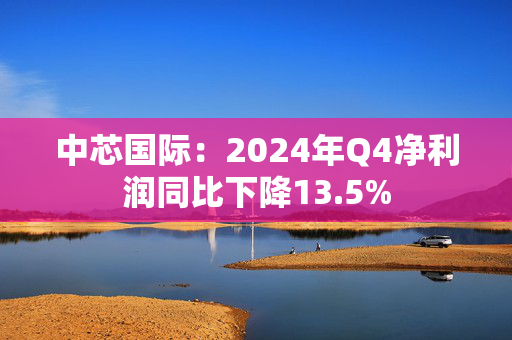 中芯国际：2024年Q4净利润同比下降13.5%