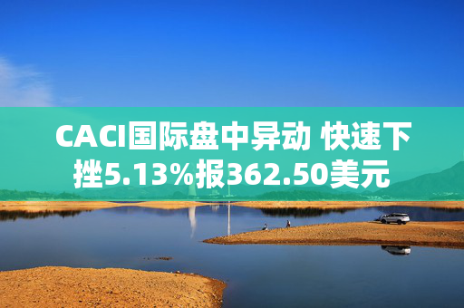 CACI国际盘中异动 快速下挫5.13%报362.50美元