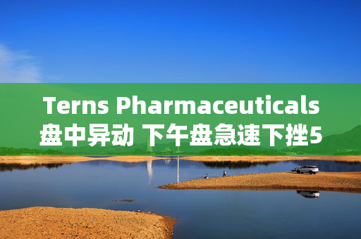 Terns Pharmaceuticals盘中异动 下午盘急速下挫5.04%