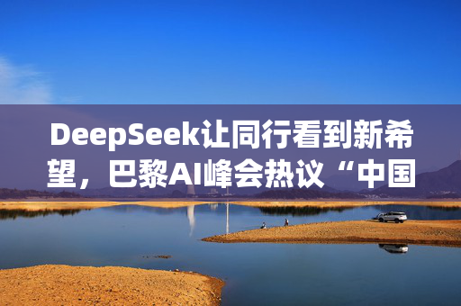 DeepSeek让同行看到新希望，巴黎AI峰会热议“中国成功”