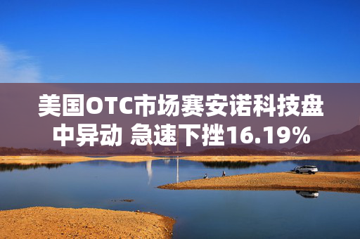 美国OTC市场赛安诺科技盘中异动 急速下挫16.19%