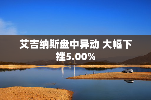 艾吉纳斯盘中异动 大幅下挫5.00%