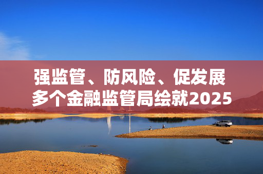 强监管、防风险、促发展 多个金融监管局绘就2025年“施工图”