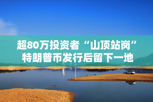 超80万投资者“山顶站岗” 特朗普币发行后留下一地鸡毛！