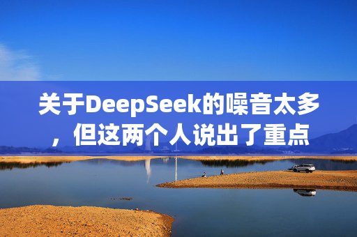 关于DeepSeek的噪音太多，但这两个人说出了重点