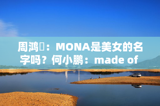 周鸿祎：MONA是美女的名字吗？何小鹏：made of new AI