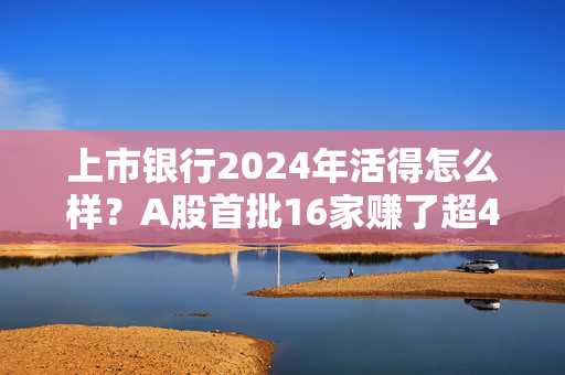 上市银行2024年活得怎么样？A股首批16家赚了超4700亿 仅厦门银行归母净利下滑