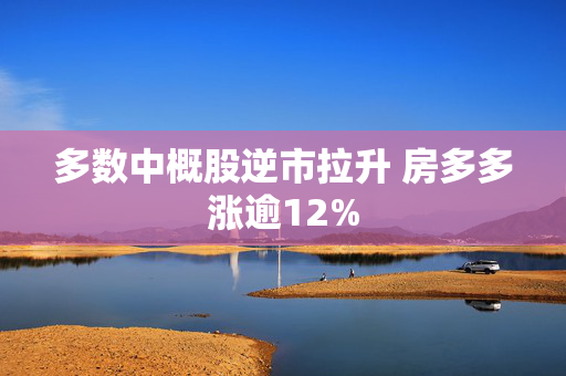 多数中概股逆市拉升 房多多涨逾12%