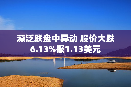 深泛联盘中异动 股价大跌6.13%报1.13美元