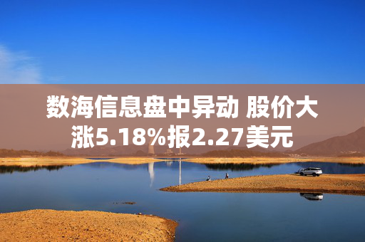 数海信息盘中异动 股价大涨5.18%报2.27美元