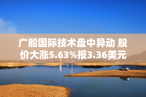 广船国际技术盘中异动 股价大涨5.63%报3.36美元