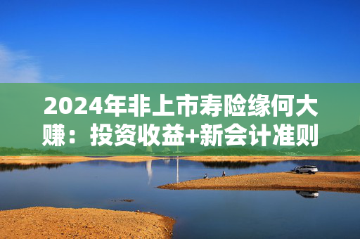 2024年非上市寿险缘何大赚：投资收益+新会计准则