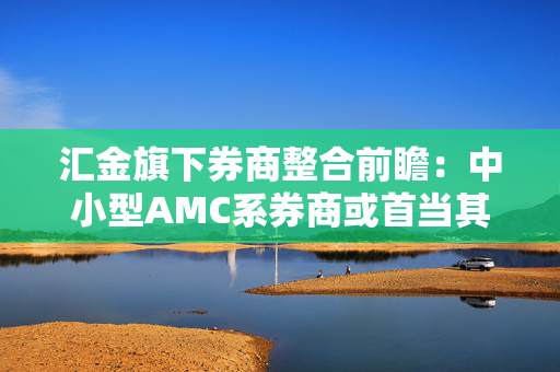 汇金旗下券商整合前瞻：中小型AMC系券商或首当其冲