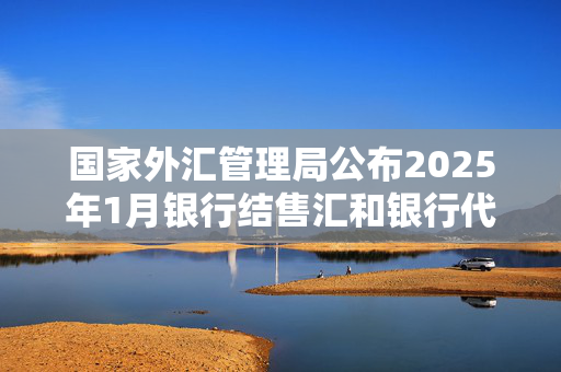 国家外汇管理局公布2025年1月银行结售汇和银行代客涉外收付款数据