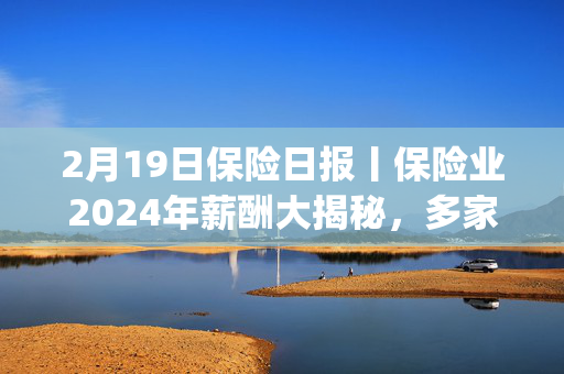 2月19日保险日报丨保险业2024年薪酬大揭秘，多家险企宣布接入DeepSeek，新会计准则下人身险公司净利润大增