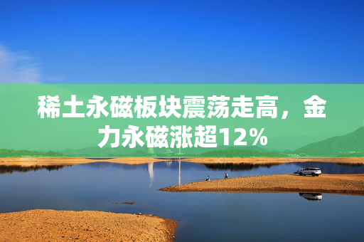 稀土永磁板块震荡走高，金力永磁涨超12%