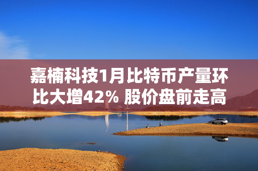 嘉楠科技1月比特币产量环比大增42% 股价盘前走高