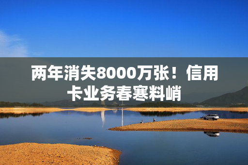 两年消失8000万张！信用卡业务春寒料峭