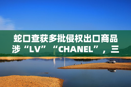 蛇口查获多批侵权出口商品涉“LV”“CHANEL”，三家公司被罚没6万余元