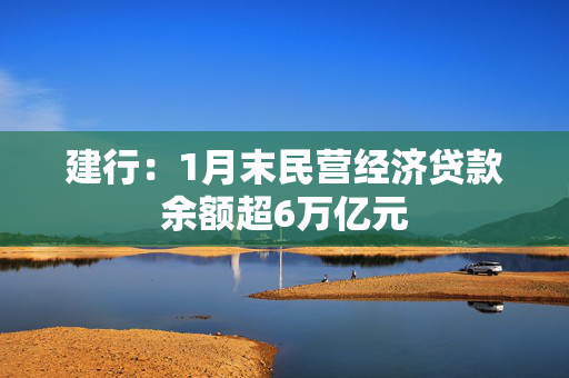 建行：1月末民营经济贷款余额超6万亿元